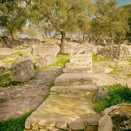 Дом отдыха Nidos Del Buitre - Rurales *